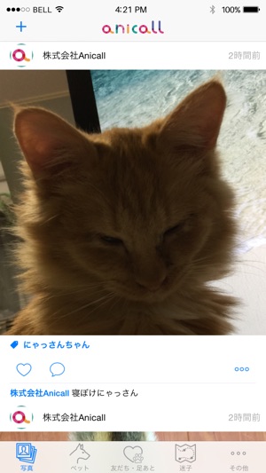 Anicall(圖1)-速報App
