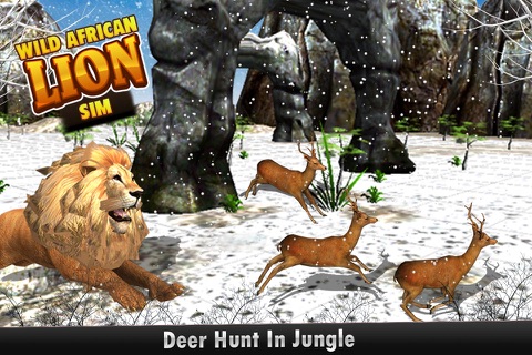 Wild African Lion Sim 3D - Real Safari King Hunting Deer on Snow Mountains in Winter screenshot 3