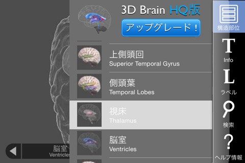 3D Brainのおすすめ画像4