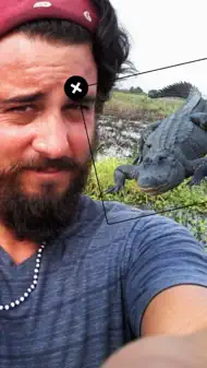 Selfie Photobombs Free iphone bilder 0