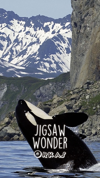 Orca Puzzles for Kids Jigsaw Wonder Edition screenshot-0