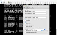 Telnet Lite iphone bilder 2