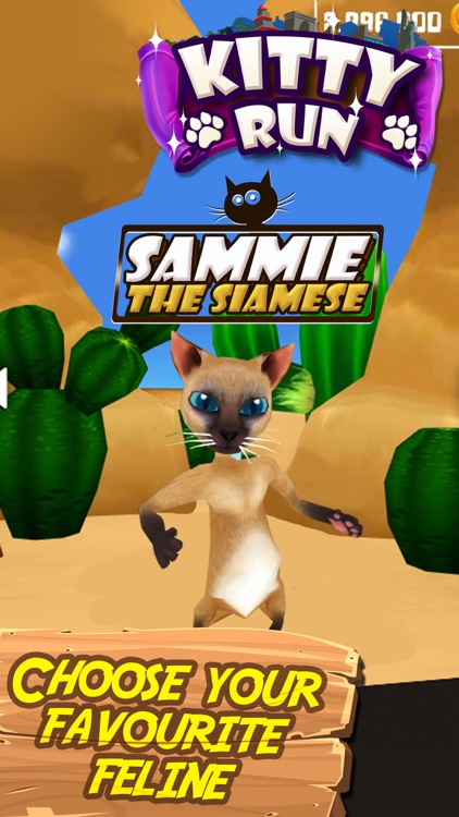 Kitty Run - Crazy Cats screenshot-4