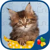 Cute Cats - Real Cat and Kitten Picture Jigsaw Puzzles Games for Kids - App Icon
