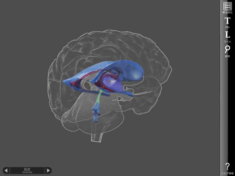 3D Brainのおすすめ画像5