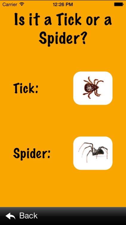 What's That Bug?! screenshot-3