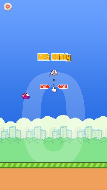 Flying bird - impossible bird