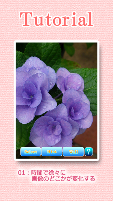 Screenshot #2 pour Landscapes of the flower