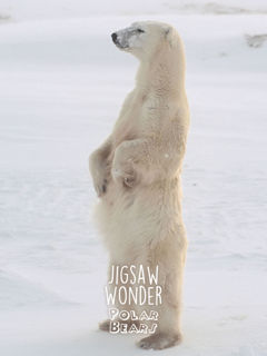 Jigsaw Wonder Polar Bear Puzzles for Kids Free screenshot 9