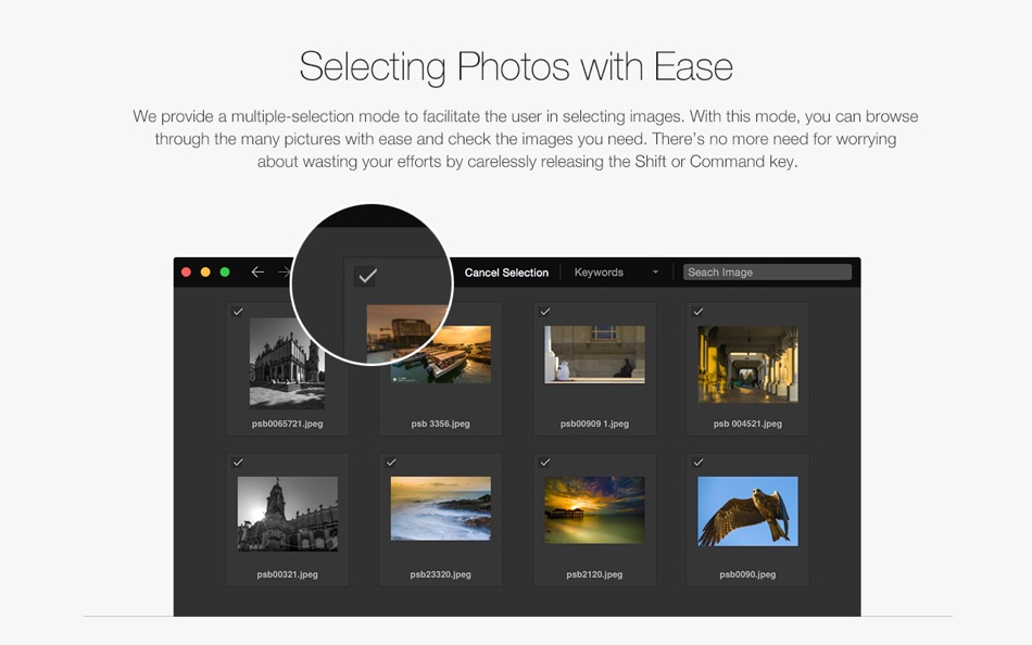 #4. Pixy: PhotoManager (macOS) 由: FMX CO., LTD.