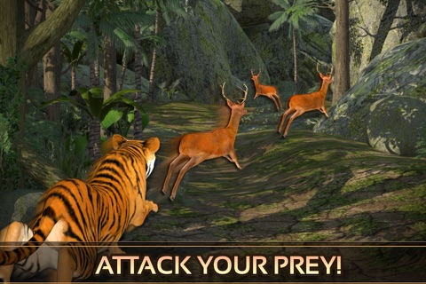 Wild Tiger Adventure 3D - Siberian Jungle Beast Animals Hunting Attack Simulator screenshot 4