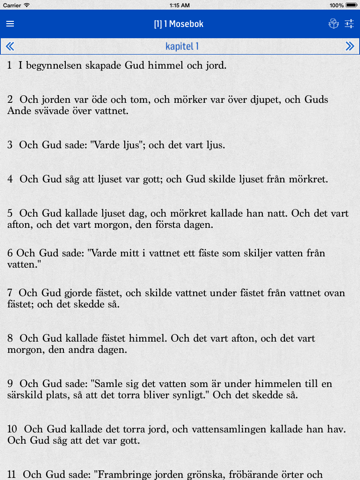 Screenshot #5 pour Swedish Bible