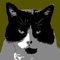 Offline browsing of multiple Adobe Lightroom catalogues on the iPad and iPhone