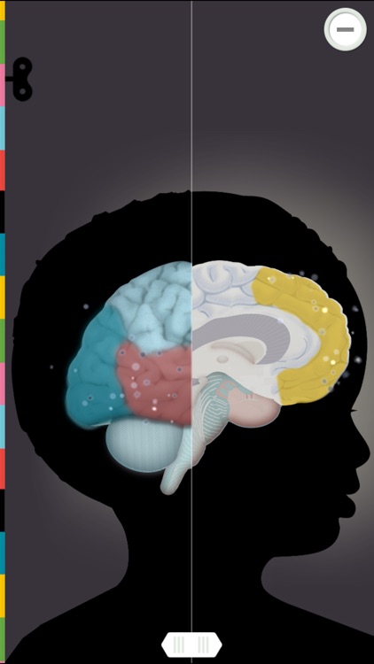 The Human Body by Tinybop screenshot-3
