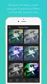 filtron iphone images 2