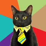 Mixture Photos Write  Draw on a Picture