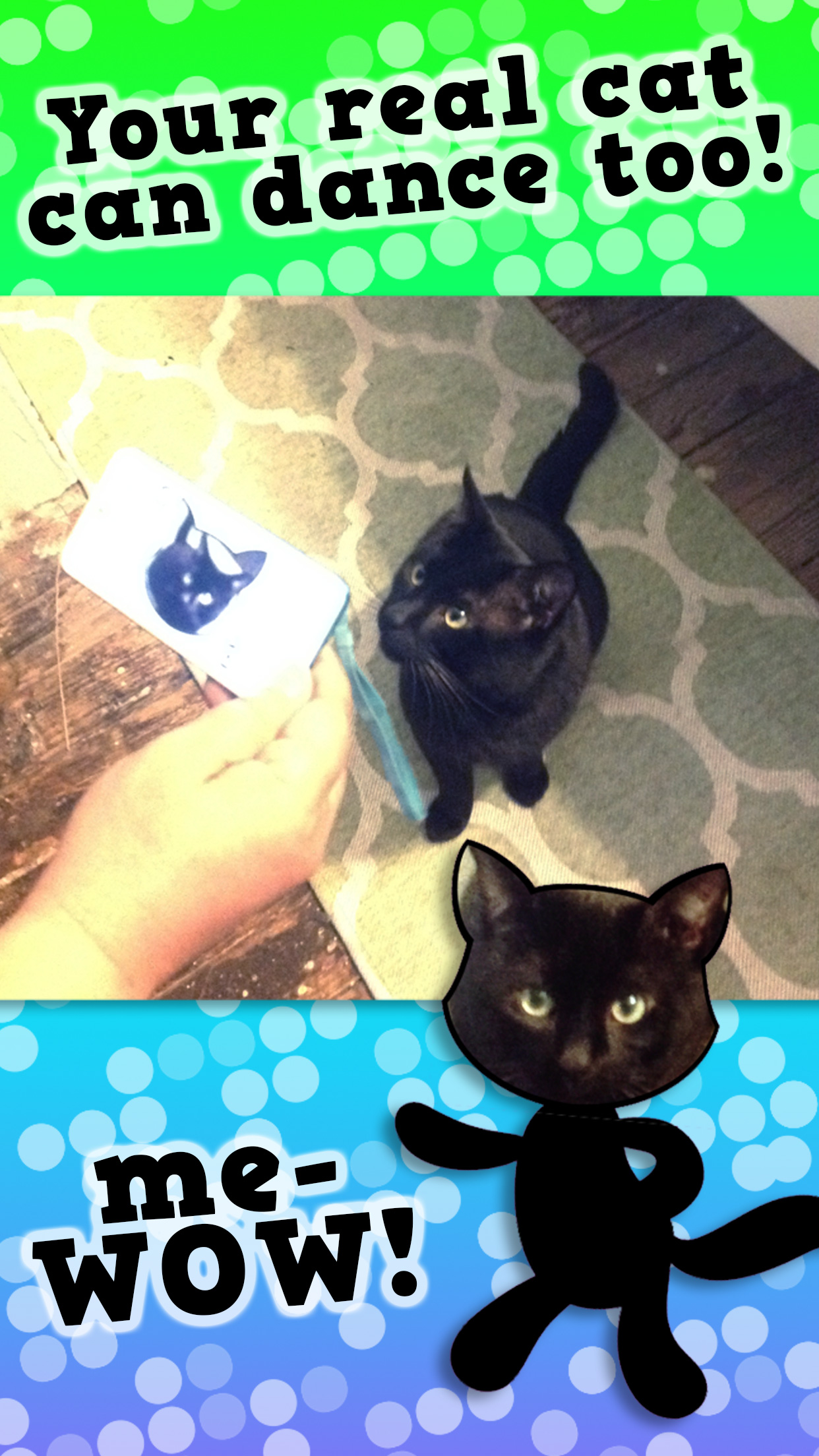 Disco Cats- Augmented Reality Dance Game - Free