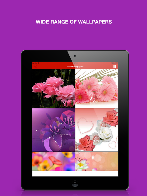 Screenshot #6 pour Love & Romantic Wallpapers : Backgrounds and pictures of valentine heart, flowers and polka dots as home & lock screen images