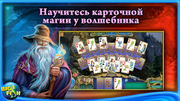 Хроники Эмерланда. Пасьянс