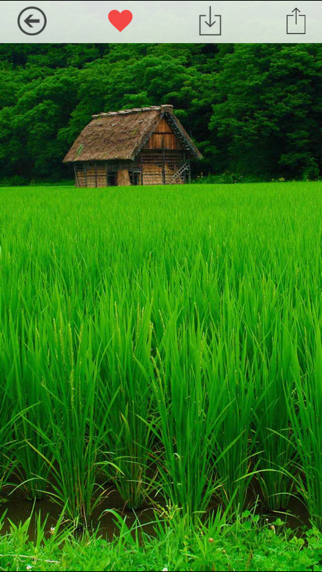 Screenshot #3 pour iPersia Wallpapers
