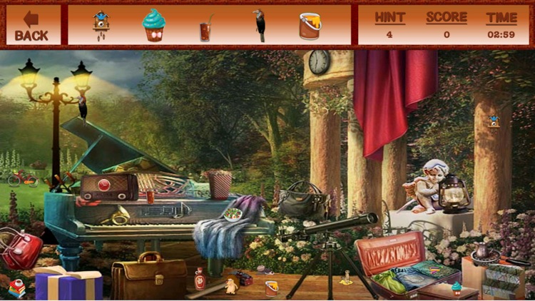 A Real World Hidden Object