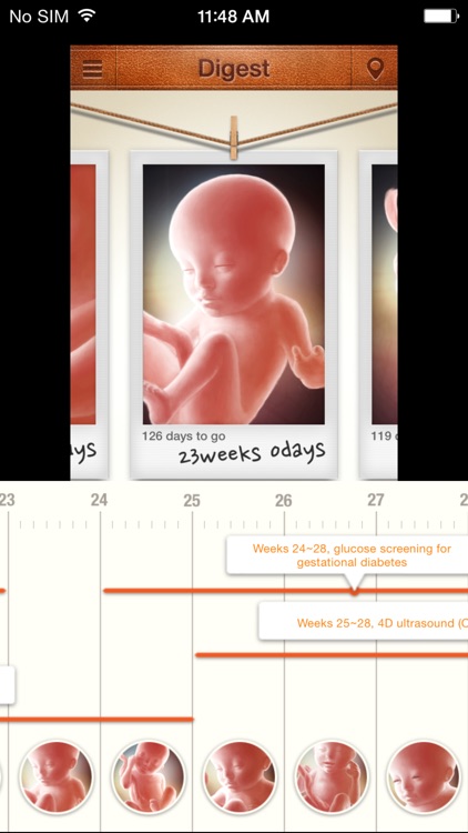 MyAngel 2 - Pregnancy and Infant care