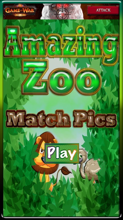 Amazing Zoo - Match Pics