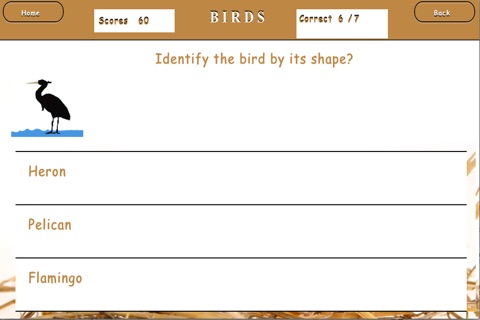 Elementary Kids Science Quiz screenshot 4