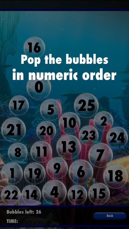 Bubble Fun Deluxe 2 screenshot-3