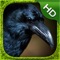 Crow Simulator - HD