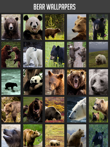 Screenshot #4 pour Bear Wallpaper