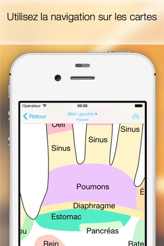 Massage Maps • Reflexology screenshot 3