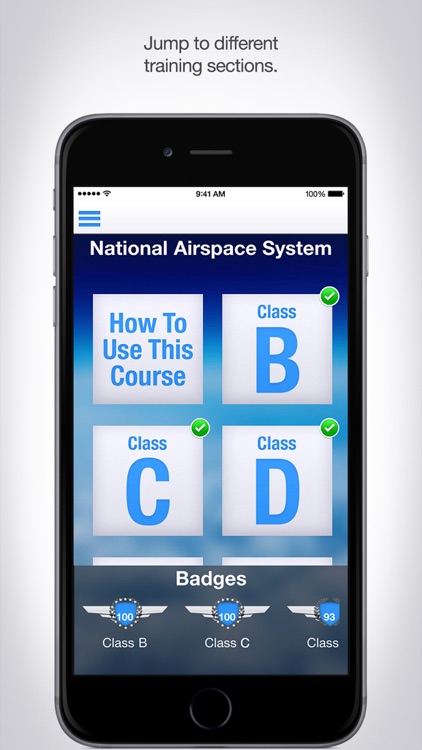 National Airspace System screenshot-4