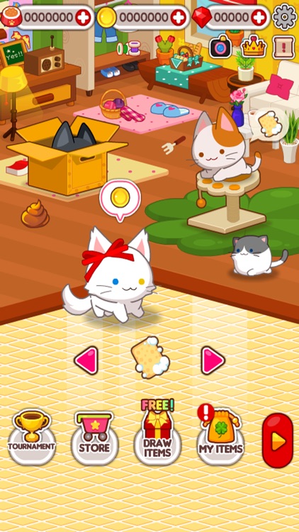 Animal Judy : Cat care