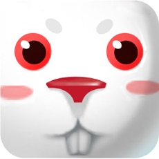 Activities of Let Rabbit Home