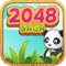 Saga 2048