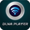 GSE DLNA PLAYER - iPadアプリ