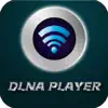 GSE DLNA PLAYER App Support