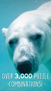 Jigsaw Wonder Polar Bear Puzzles for Kids Free screenshot 3