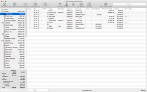 BeanCounter Pro screenshot