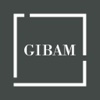 Gibam WRC