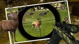 Game screenshot Hunting jungle animals 2 apk