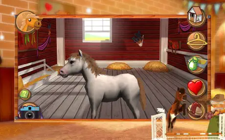 Little Baby Horse