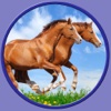 my favorite horses - free game for kids