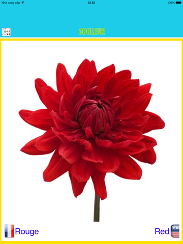 Screenshot #6 pour Anglais pour les enfants