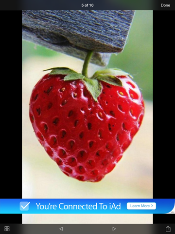 Screenshot #5 pour صور ملونة للواتس اب