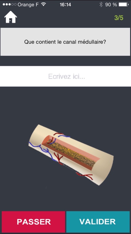 FormaQuiz screenshot-4