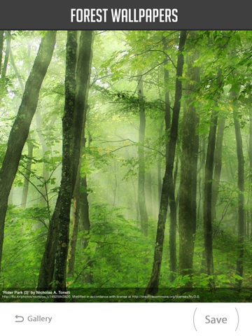Screenshot #5 pour Forest Wallpapers