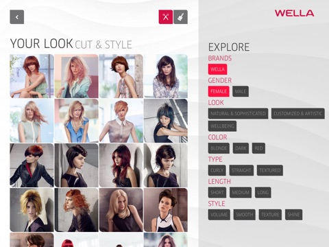 Wella Style Vision Consultation screenshot 2