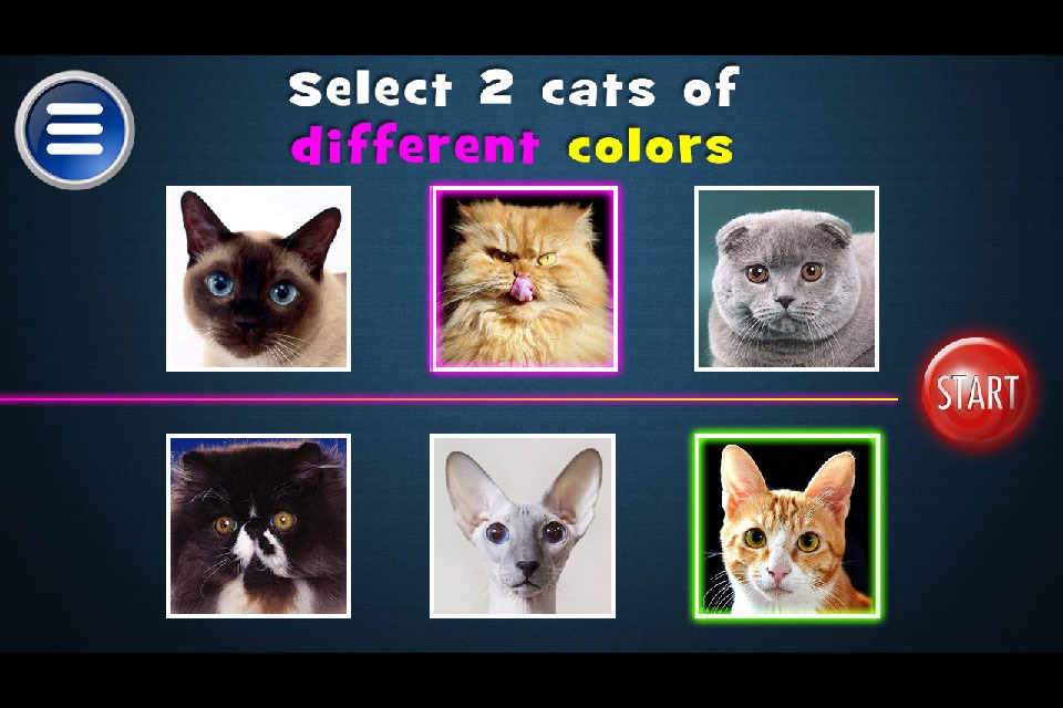 Simulator Morph Cat screenshot 3